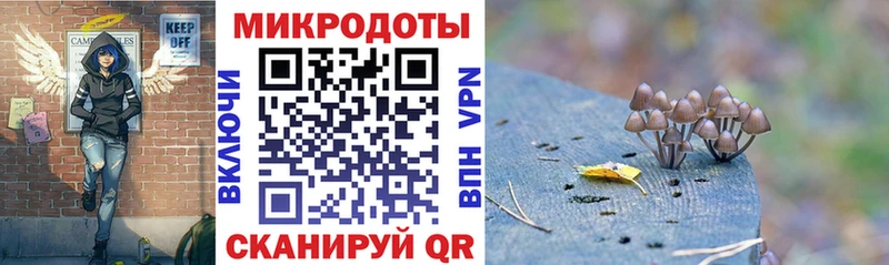 кракен зеркало  Елизаветинская  Галлюциногенные грибы Psilocybe 
